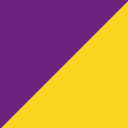 Purple/Gold